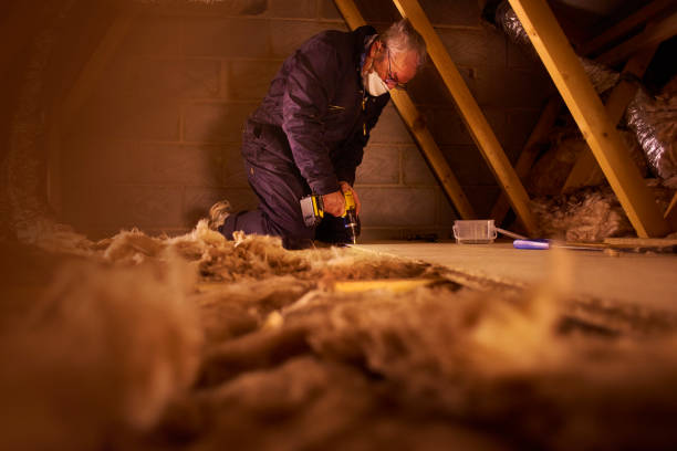 Best Basement Insulation  in Forest Hill, TX